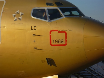 Złoty Boeing 737